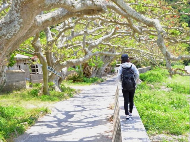 のんびり加計呂麻島3時間ツアー かけろまエッセンシャル 奄美大島 女性 カップル ファミリー お友達にオススメ スローガイド奄美 じゃらん遊び体験 のんびり加計呂麻島3時間ツアー かけろまエッセンシャル 奄美大島 女性 カップル ファミリー お友達にオススメ スローガイド奄美 じゃらん遊び体験