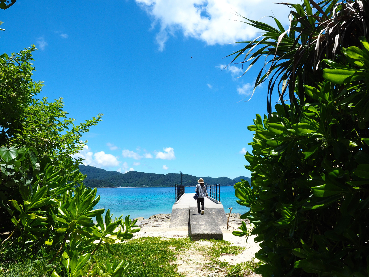 のんびり加計呂麻島3時間ツアー かけろまエッセンシャル 奄美大島 女性 カップル ファミリー お友達にオススメ スローガイド奄美 じゃらん遊び体験 のんびり加計呂麻島3時間ツアー かけろまエッセンシャル 奄美大島 女性 カップル ファミリー お友達にオススメ スローガイド奄美 じゃらん遊び体験