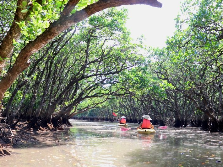 地域共通クーポン対象 朝凪 夕凪マングローブカヌーツアー 奄美大島 女性 カップル ファミリー お友達にオススメ スローガイド奄美 じゃらん遊び体験