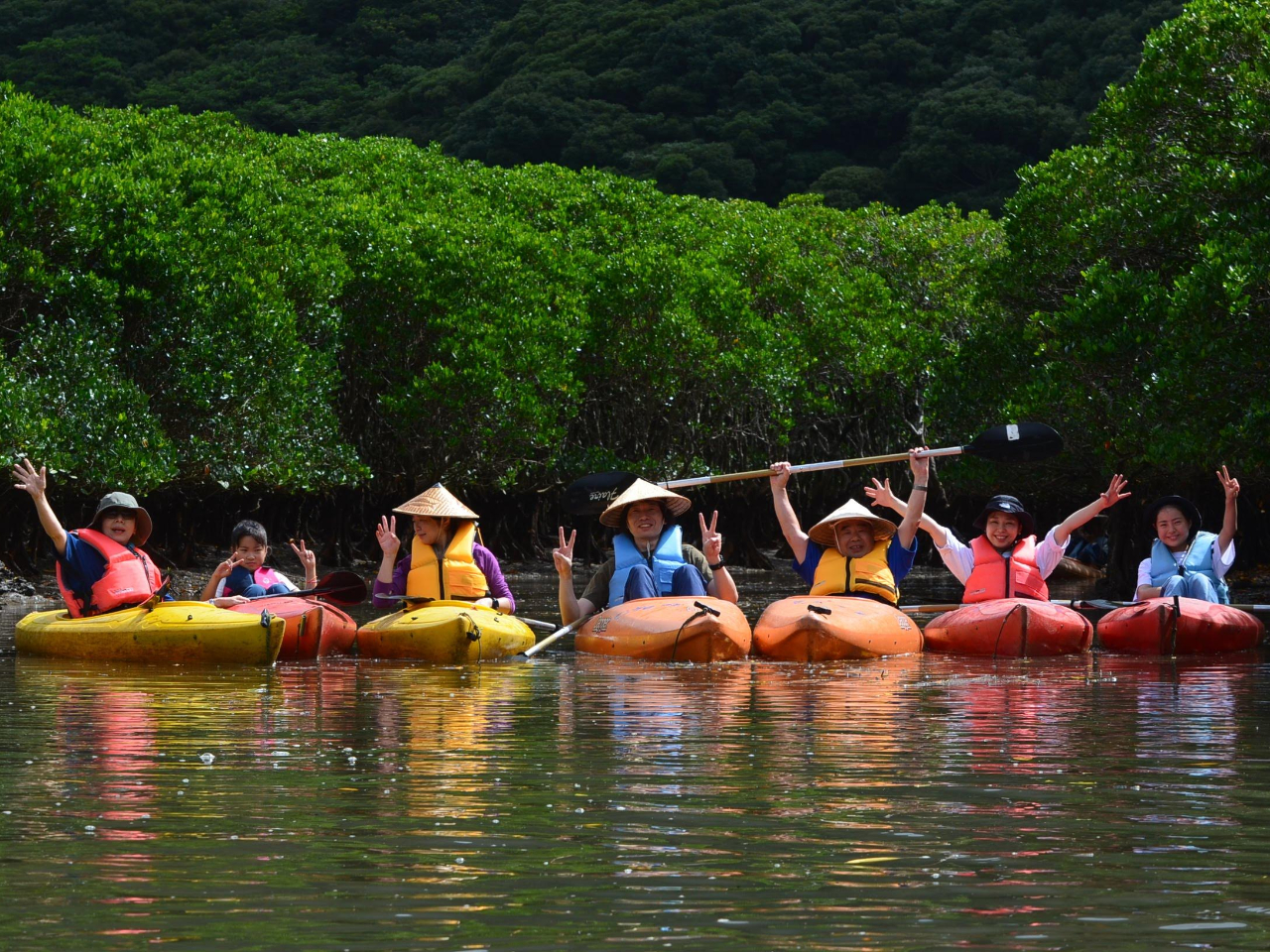 奄美大島の住用町にあるマングローブ原生林と近くの森と滝、
それぞれ別々の3箇所を3時間ほどでご案内する奄美の自然満喫ツアーです。