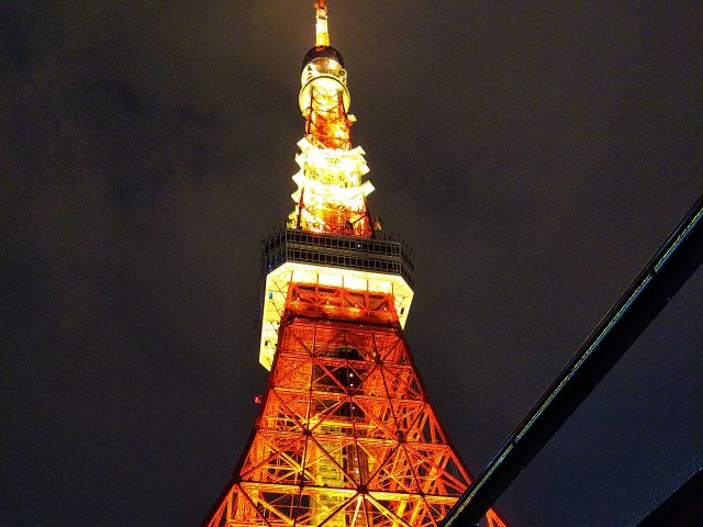 東京タワーへも勿論アクセス可能です。夕方の便では、季節によってライトアップも楽しめますよ。