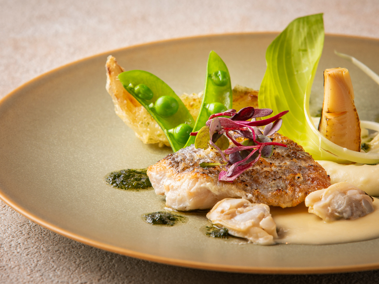 �y�m�H�R�[�X�z���������́u���o���̃|�����v