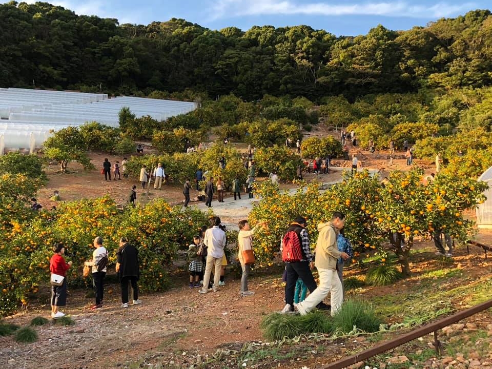 nł݂肪ł̂ŁAԂxr[J[̕y߂܂