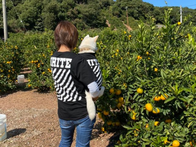 ペット同伴OKです♪ぜひワンちゃんと一緒にお越しください。