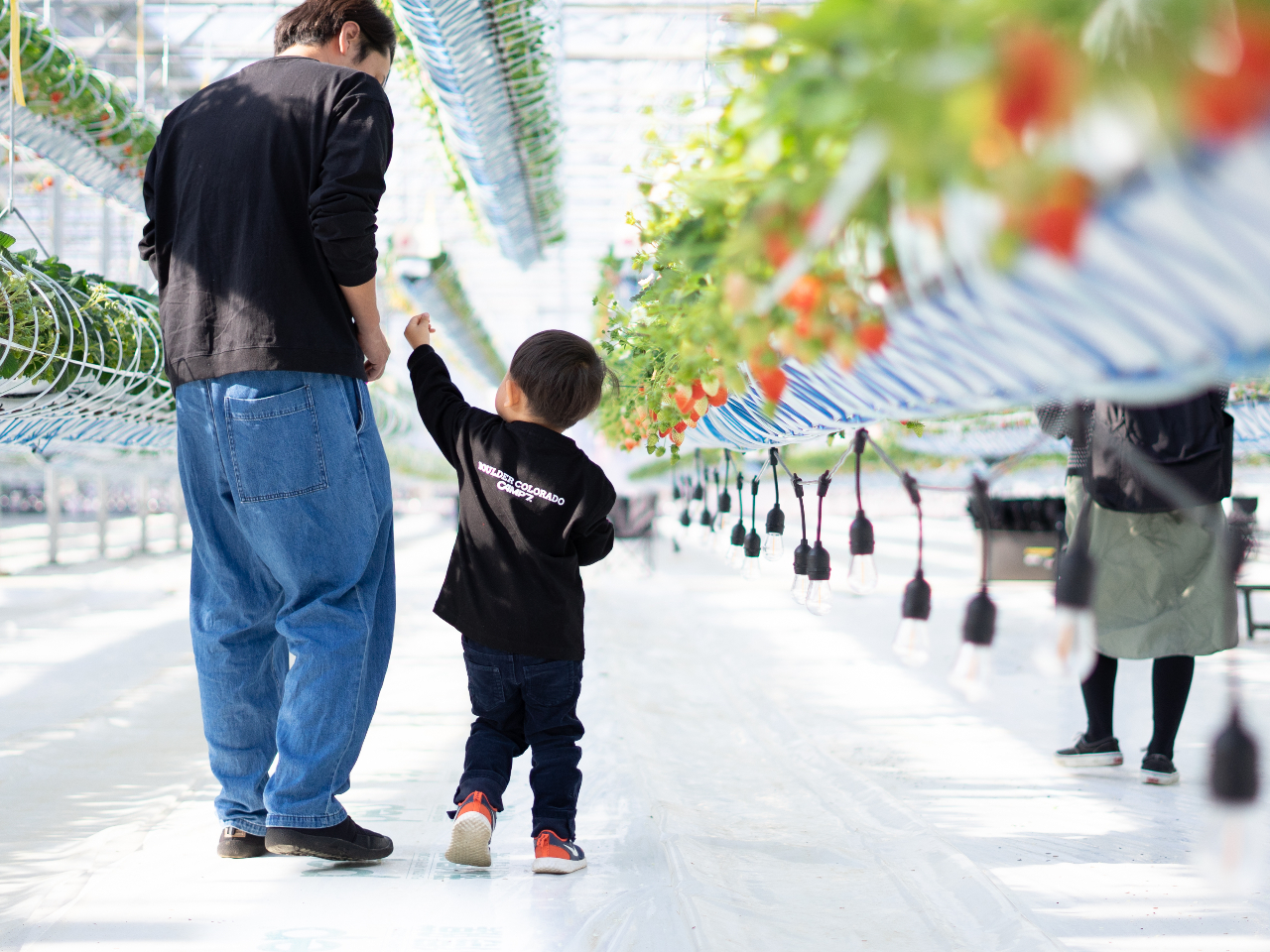 C`SAƂ낪ɂ邽߂qlSĈړł܂B