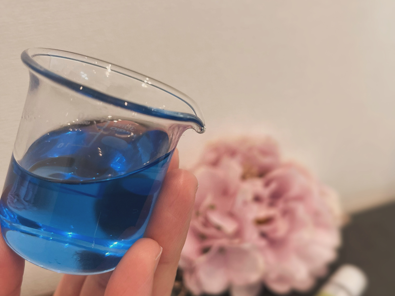 IԐɂĂYȐFɂȂ邱Ƃ