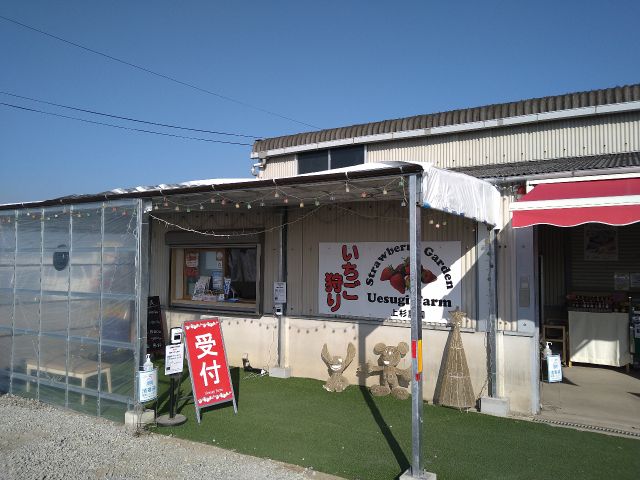 直売所横にいちご狩りの受付があります