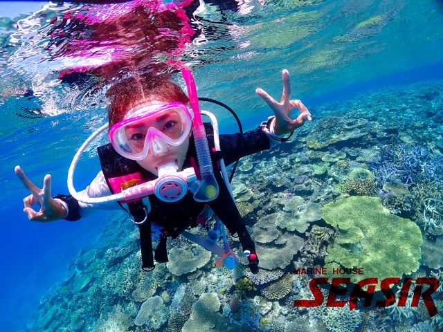 阿嘉島ボート体験ダイビング1本 那覇日帰り可 10歳以上 1名可 水中写真無料 10 枚 定期船手配は各自 マリンハウスシーサー 阿嘉島店 じゃらん遊び体験 阿嘉島ボート体験ダイビング1本 那覇日帰り可 10歳以上 1名可 水中写真無料 10 枚 定期船手配は各自 マリンハウスシーサー 阿嘉島店 じゃらん遊び体験