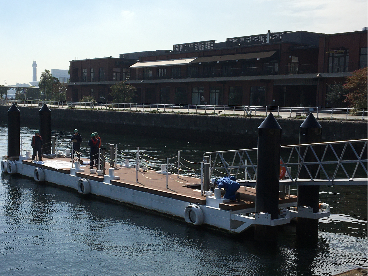 �` �V�`�ӓ����񋴁i�n���}�[�w�b�h���^�D�V���j�`