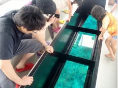 沖縄のグラスボートランキングtop10 じゃらんnet 沖縄のグラスボートランキングtop10 じゃらんnet