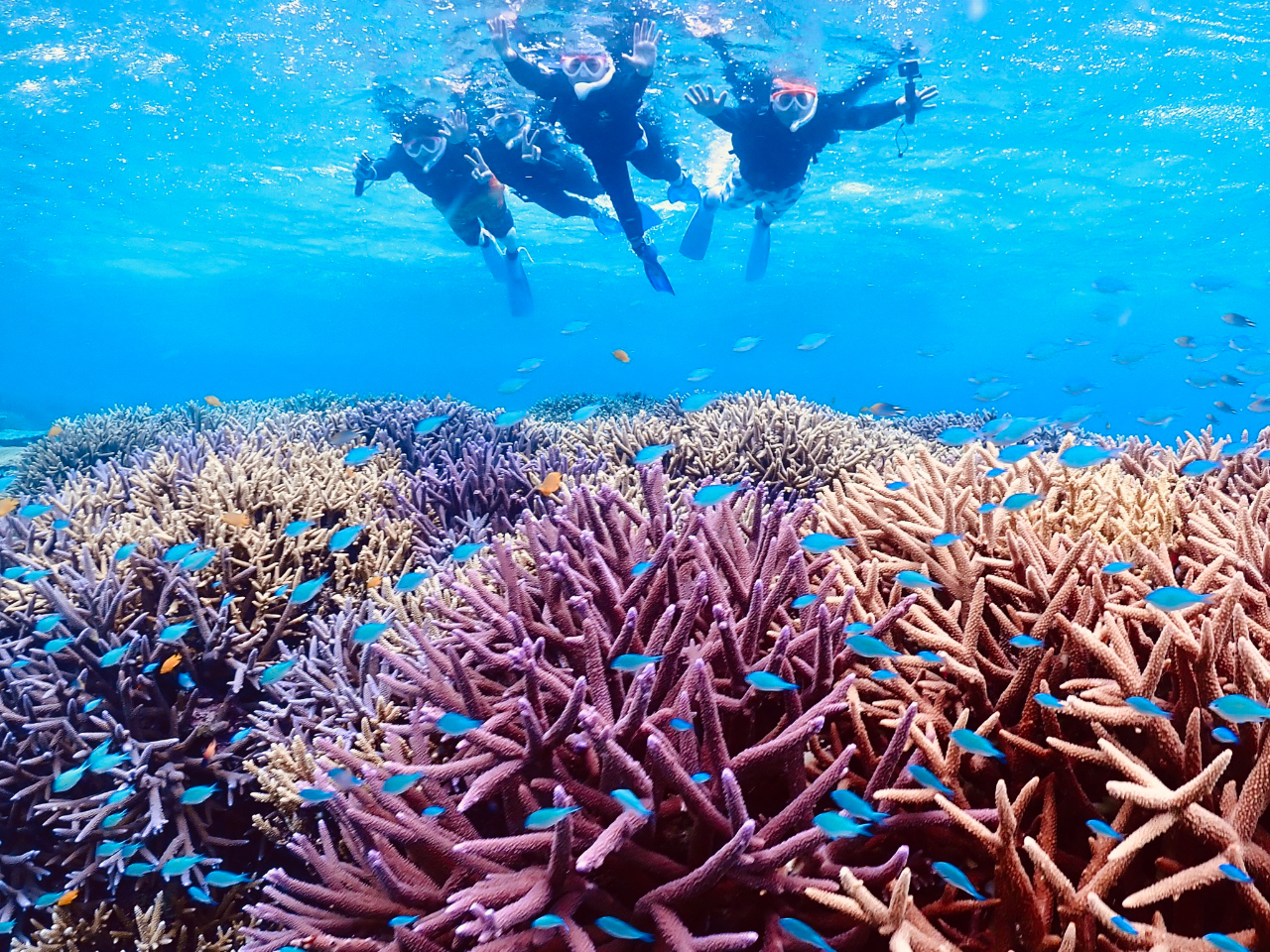 {Ó̖k[̒rԑ勴nA_ʂɌƁAƃu[ƂĂSn悢łB