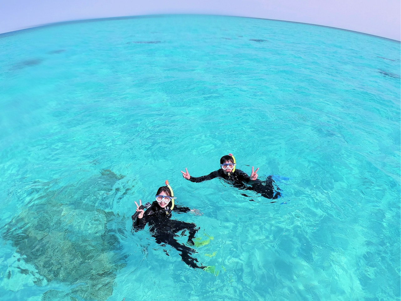 wdu[xƃCX^ŕ]̃|CgwCtxBLpJŎBƔQɉf܂B