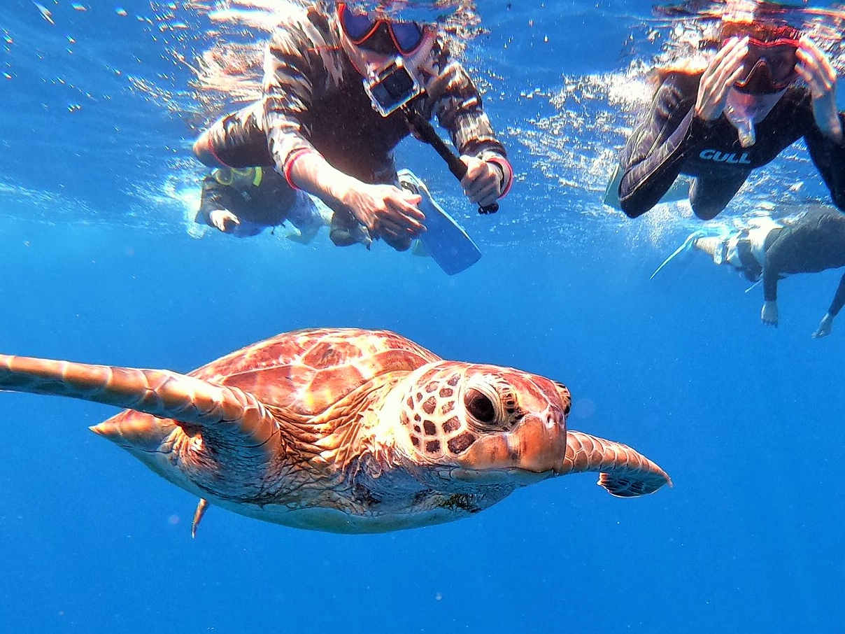 E~Kɏo邱Ƃ΂΂܂Bql̉^ł̂ŁAPBBBB