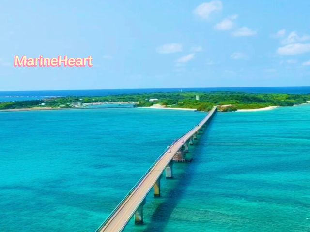 池間大橋付近の海のブルーはぜひ一度ご覧になってくださいね。