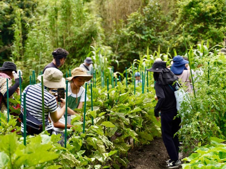 【1名様から出発!】 座禅体験&野菜収穫&料理体験!SDGsを体感できる旅! 糸...