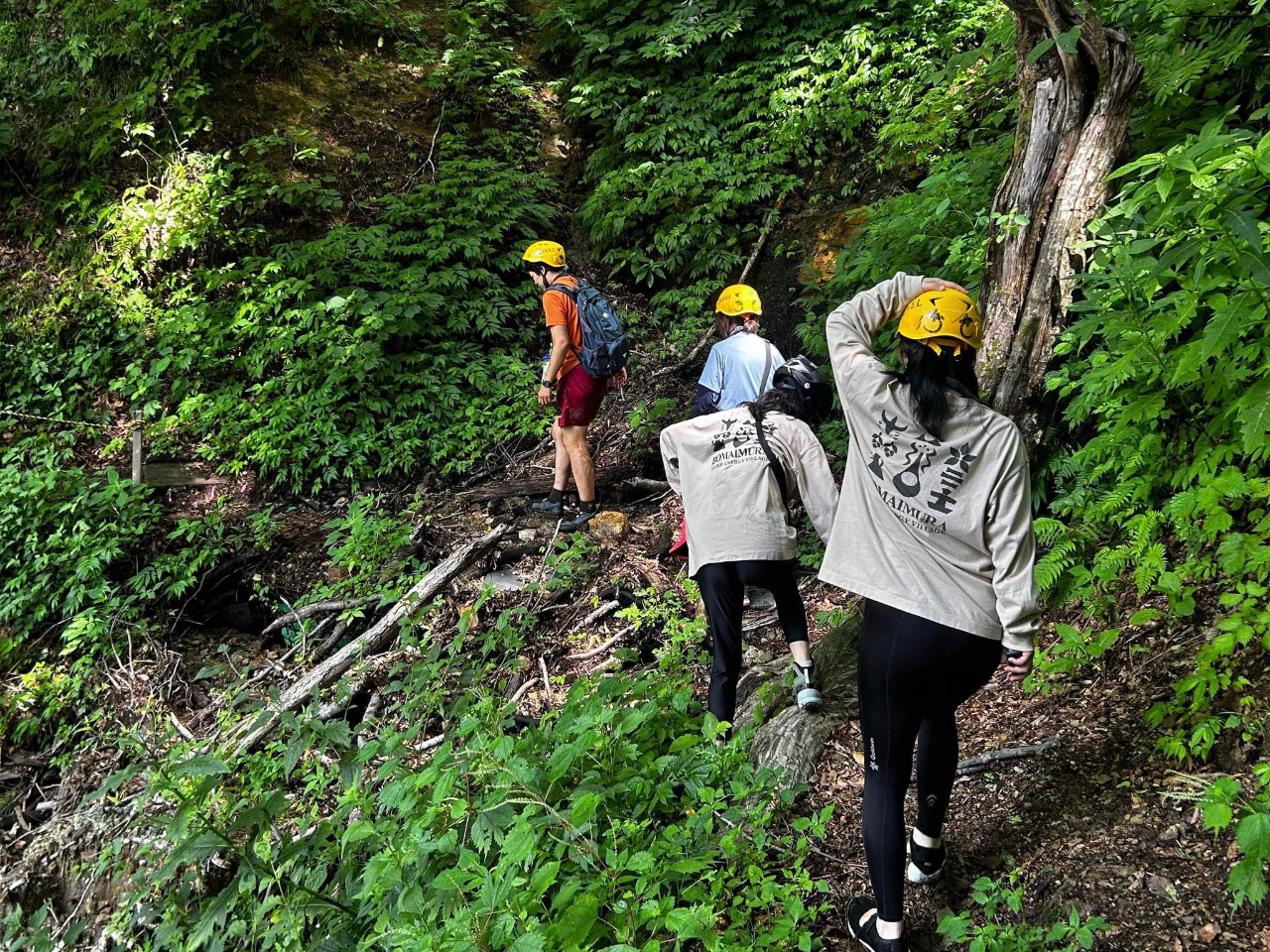 さわやかなブナ林!秘境の森をいざ出発!