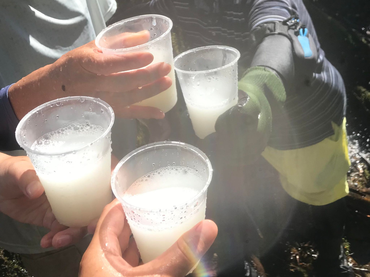 大自然の中、カルピスで乾杯は最高!