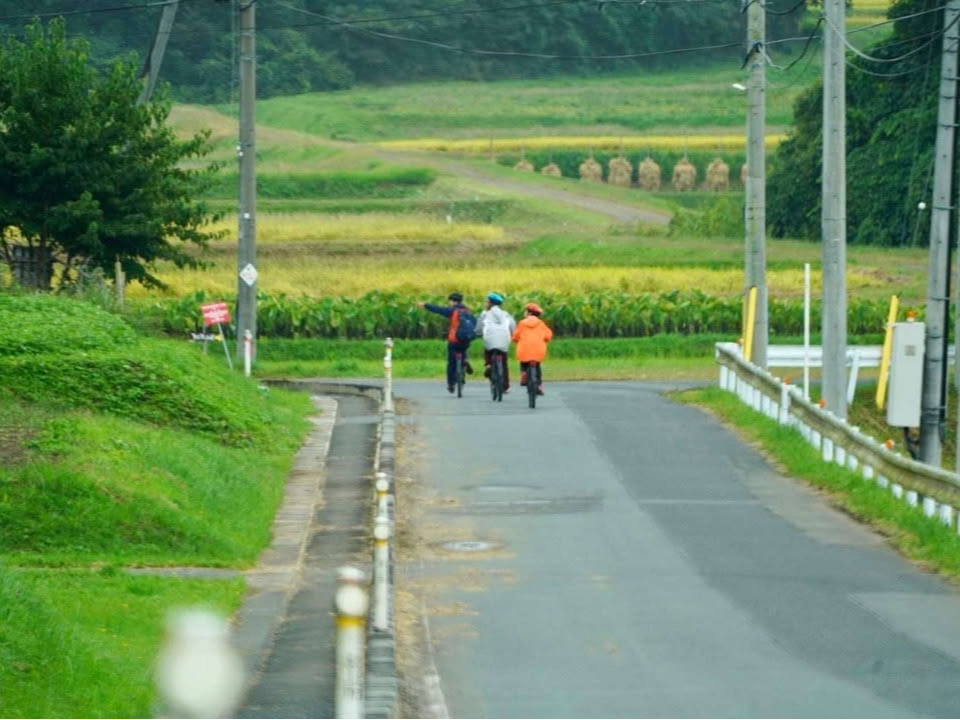 四季折々の豊かな表情を見せてくれる棚田の中も走ります!