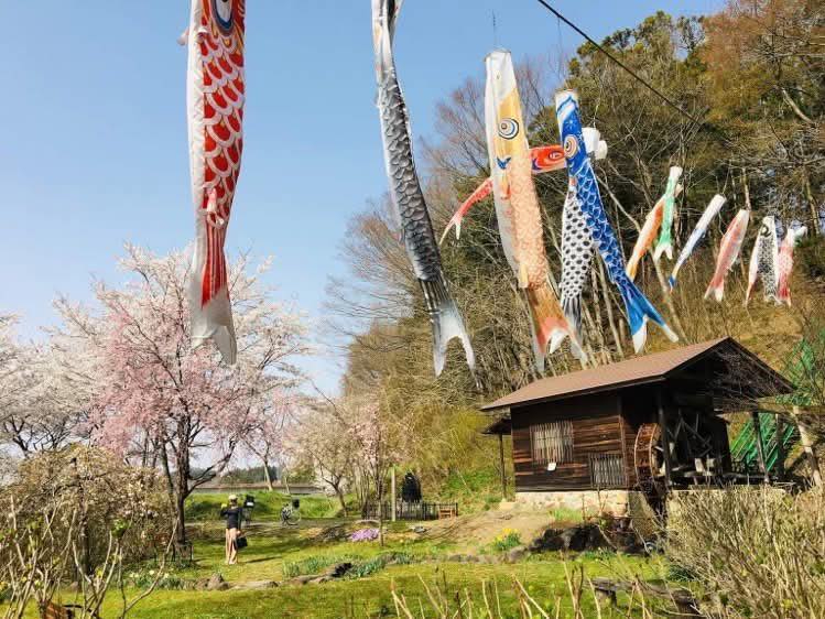 uꂳvƌĂ΂AnňƐԏ̃X|bg