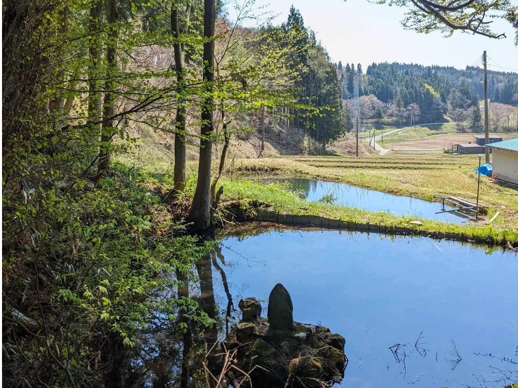 湧き水の溜池ごしに見る棚田!観光パンフレットには載っていない、ガイド厳選!美しくて、癒されるスポットへご案内します。