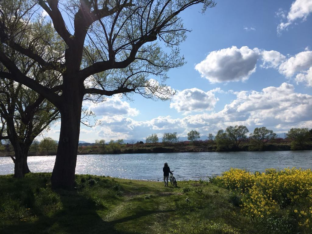 悠々と流れる北上川の真横のサイクリングロード!太陽の陽をキラキラと反射。春にはウグイスのさえずりも聞こえます!