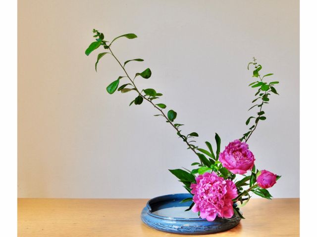 六本木ミッドタウン近く 自由な発想であなただけの作品を 生け花体験 Atelier Shuka アトリエ柊花 じゃらん遊び体験 六本木ミッドタウン近く 自由な発想であなただけの作品を 生け花体験 Atelier Shuka アトリエ柊花 じゃらん遊び体験