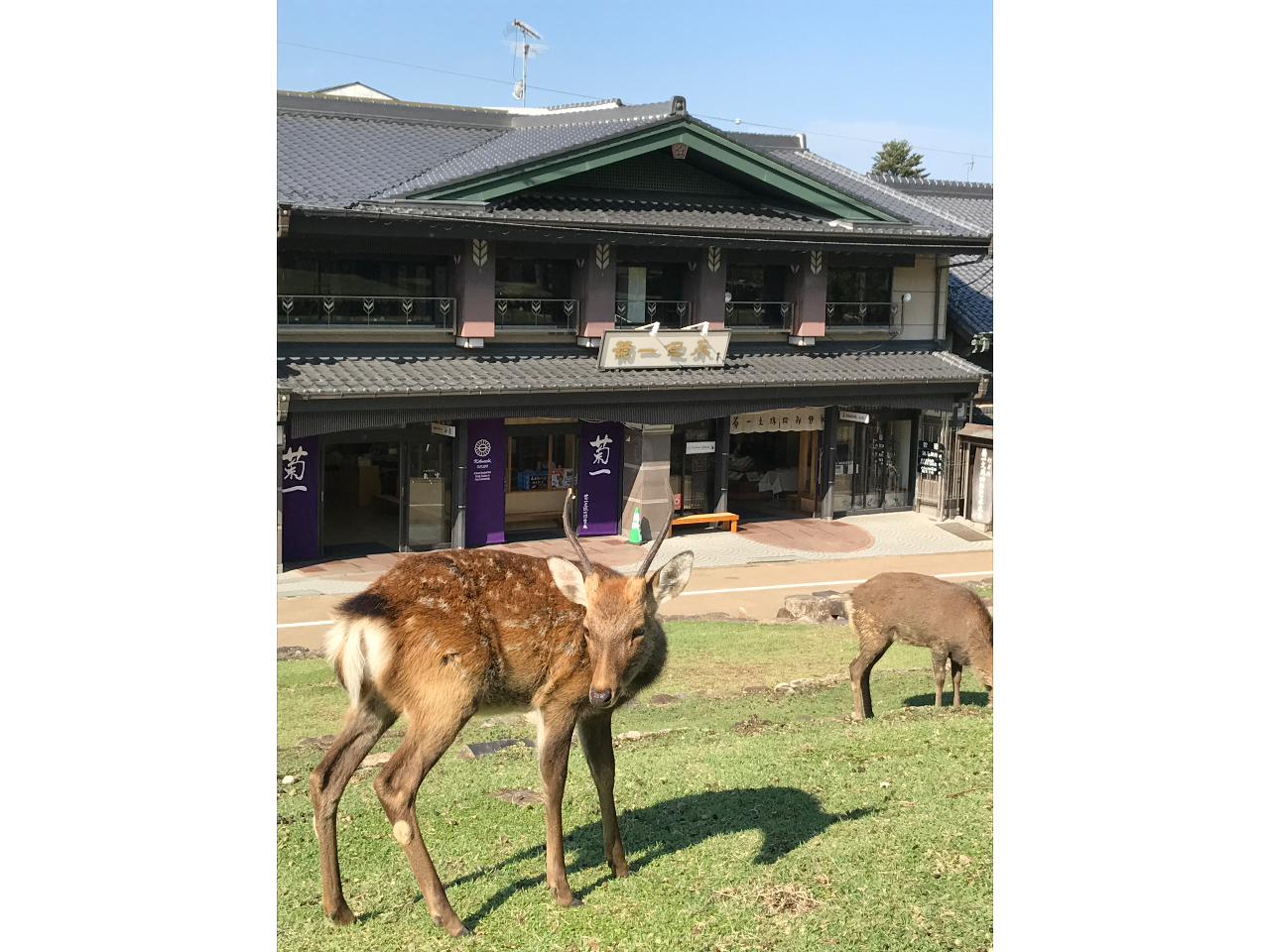 �X�O�ɂ͎ᑐ�R�Ǝ��������ς����܂��B�̌���͎��R�̒��ł������Ƃ������Ԃ����߂����������I