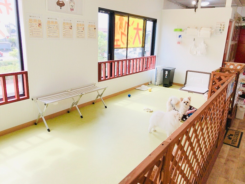 ́y񂿂̗Vяzň₨qlRɗVł悤ɂȂĂ܂BCEŏLOꂵĂ܂̂ŁAqlASĂzI