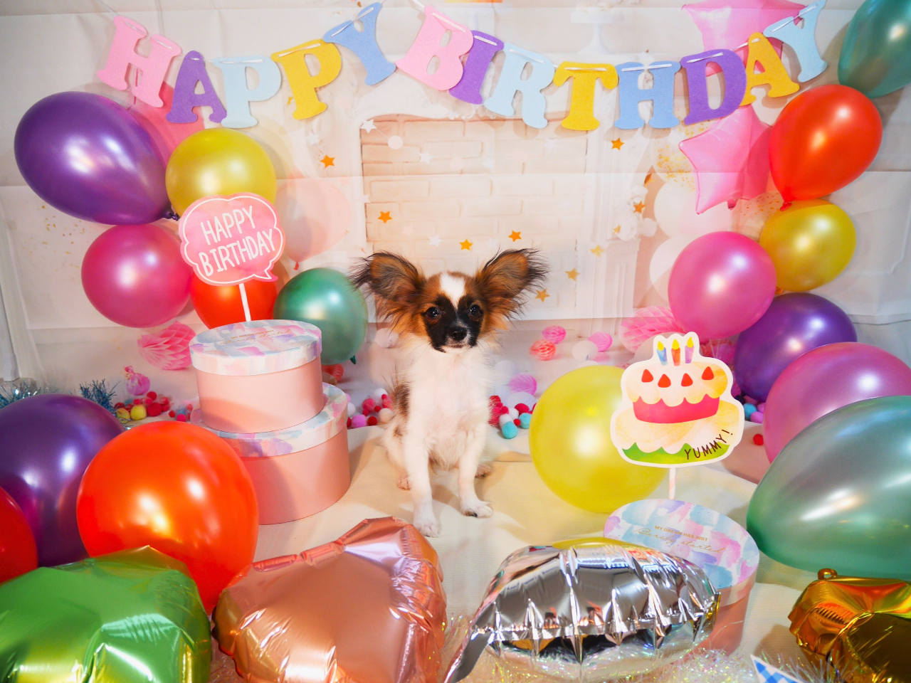 XɃhbOtHgX^WI݂Ă܂BG߂CxgƂɐ؂ւZbgł񂿂₨ql̉ʐ^B邱Ƃł܂