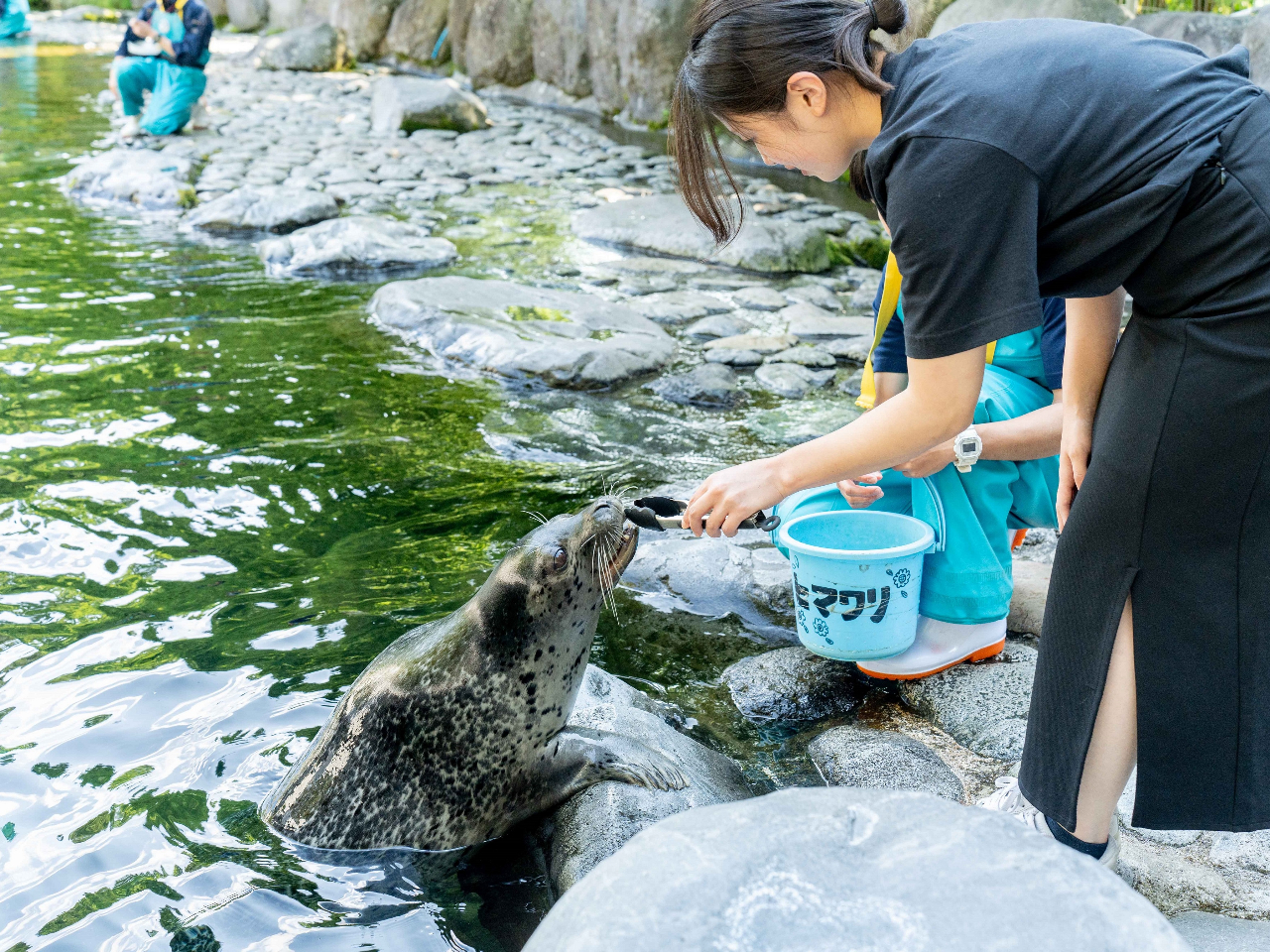 <じゃらん限定>【箱根園水族館☆入館＆ガチョウエサ付きプラン】 ◆箱根でお魚に会...
