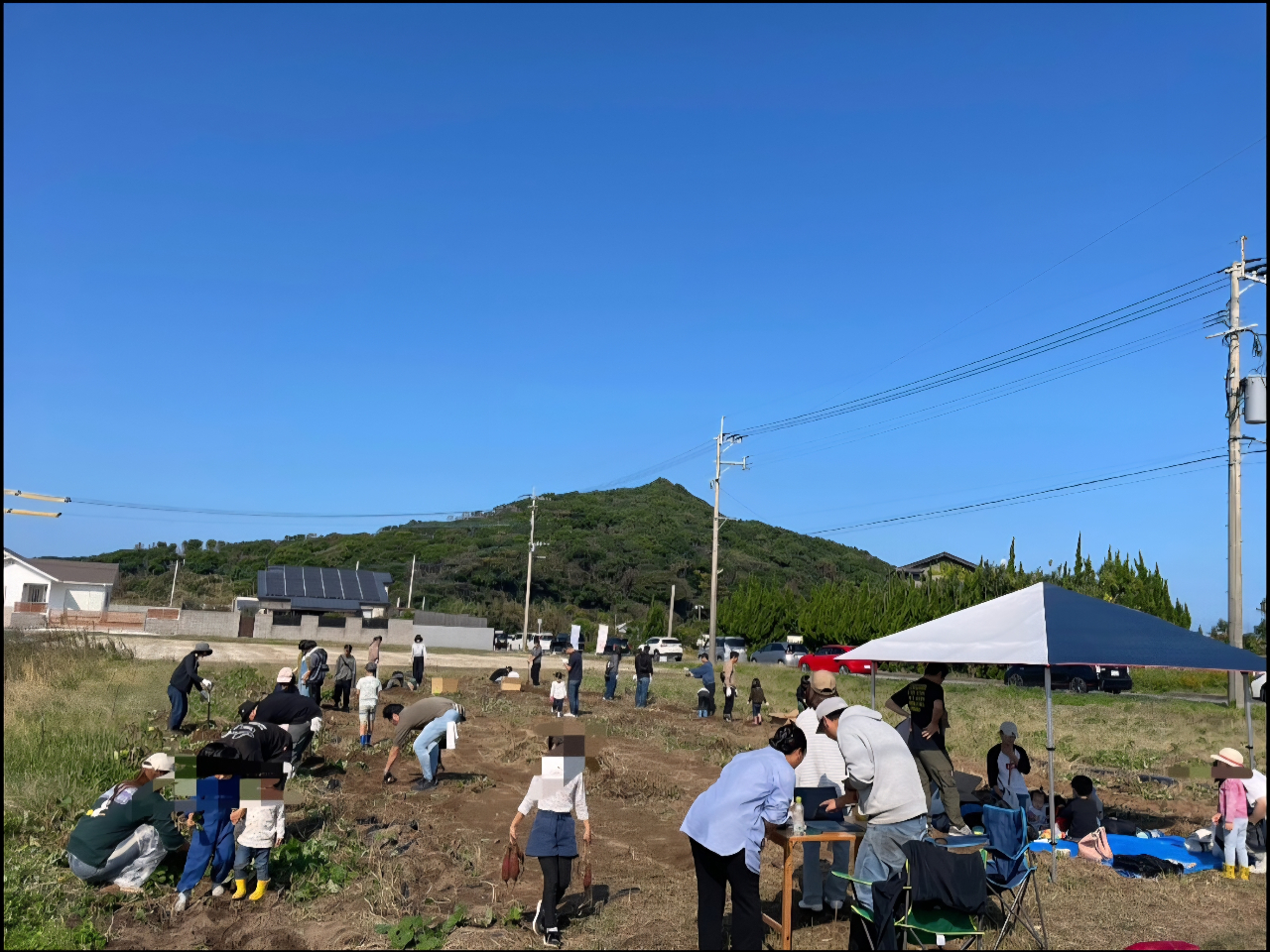 さつまいも収穫体験1