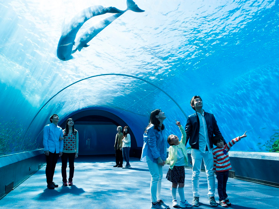 じゃらんのお得な10日間】【最大300円割引/ワンデーパス】4つの水族館