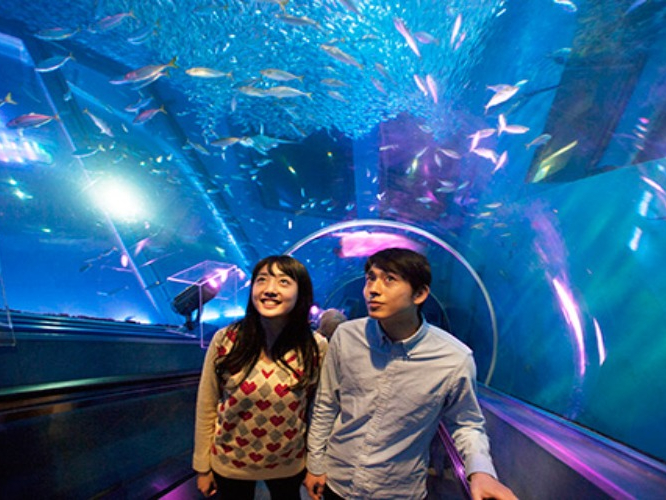 4̐ٓقƃAgNVyރt[pXvoꁚlEiV[p_CX1i悤IuANA~[WAv̓V[pňԑ傫Ȑف