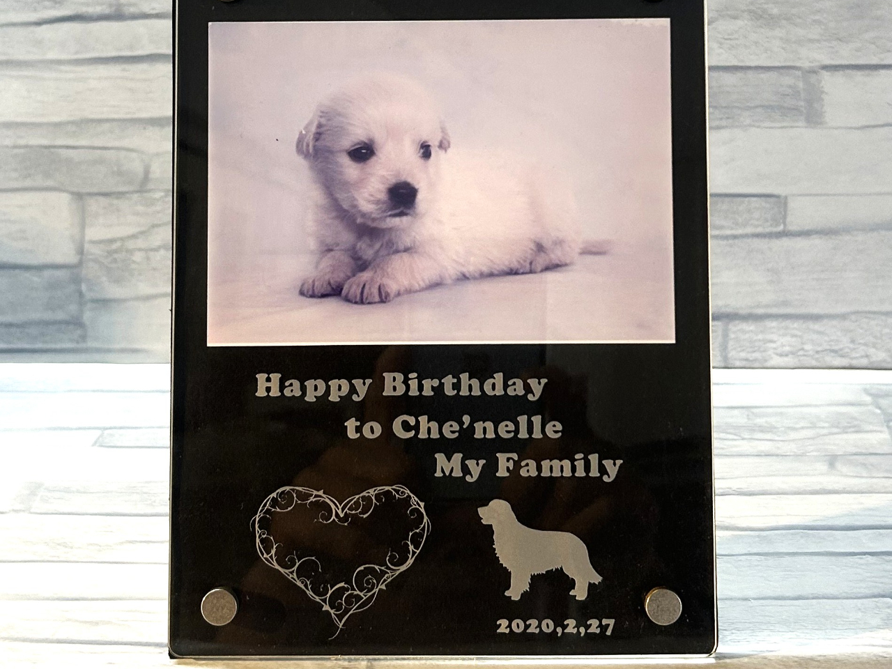 彫刻がわかりやすいように黒い台紙を挟んでいます