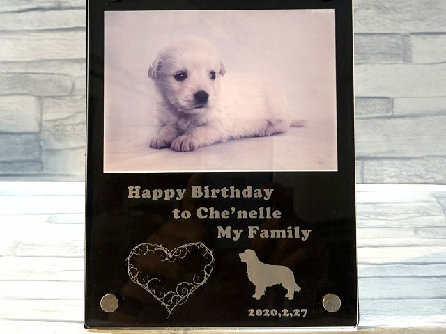 彫刻がわかりやすいように黒い台紙を挟んでいます