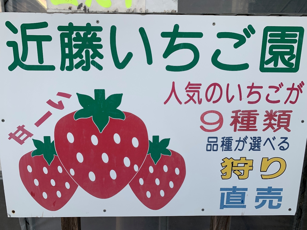 平日〈4/6~〉最大で12種類ものいちごを食べ比べ♪黒いちごや白いちごを含む30...