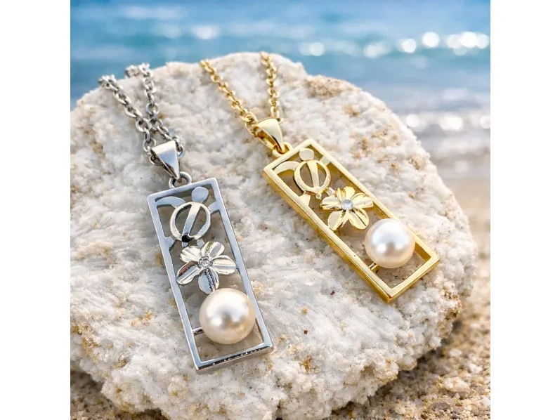 �y�A�N�Z�T���[���H�t�z��5���ŏo�����ґ�̌����{�^��ŉ^����!! ���o�����{�^������̏�ŃA�N�Z�T���[�ɉ��H���ĉ���̎v���o�������ċA�낤��