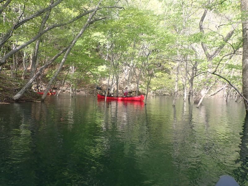 X͍sĂ݂Ƃ킩AfGȂƂłB