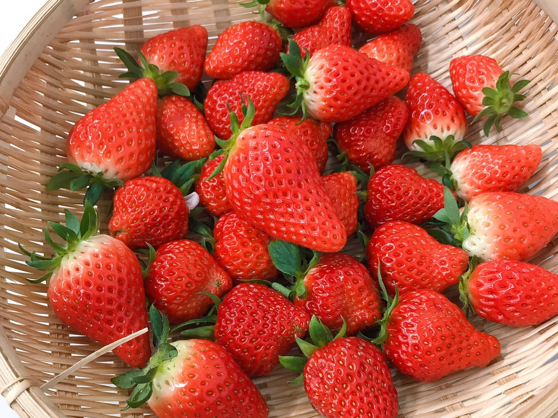 \\5周年記念の特別価格!!4歳~小学生未満500円!//〈2025/4/6~5...