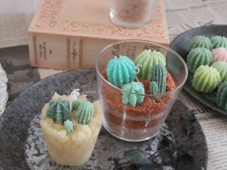 本物みたいな?オリジナルの?多肉キャンドルが作れます!