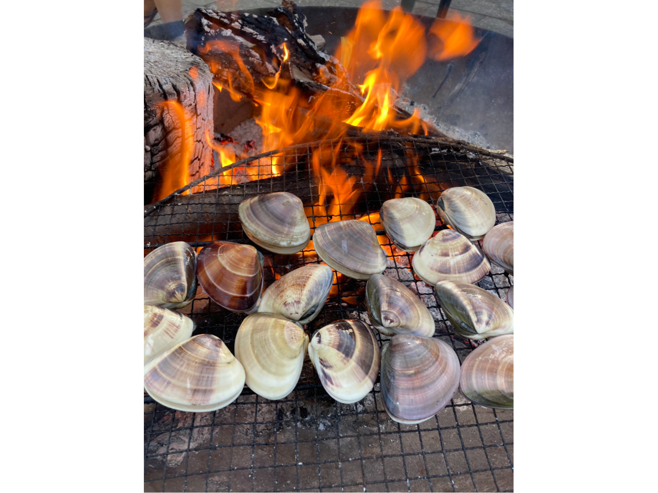 【BBQプラン】お好きな具材を持ち込んで最高のロケーションでBBQ!