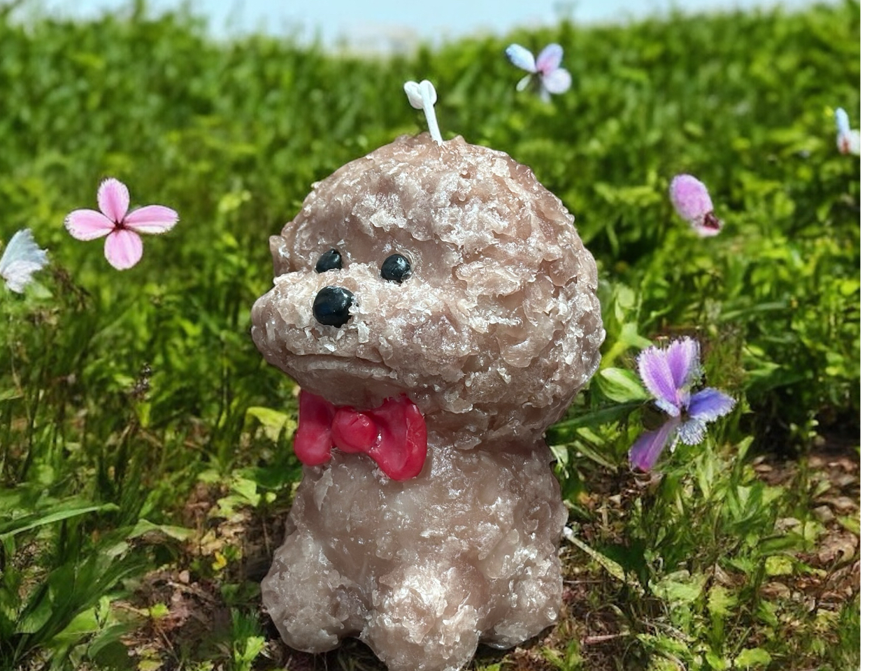 ؂ȃybgDȃLN^[łBRɍ邱̃j[͍̂LłXȂ̂ł́HI܂łT|[g܂I