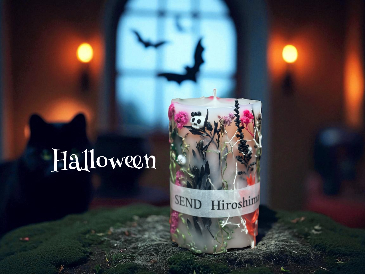 Ԃɍ킹ĉp[cpӁIꂩ̎̓nEBlCI