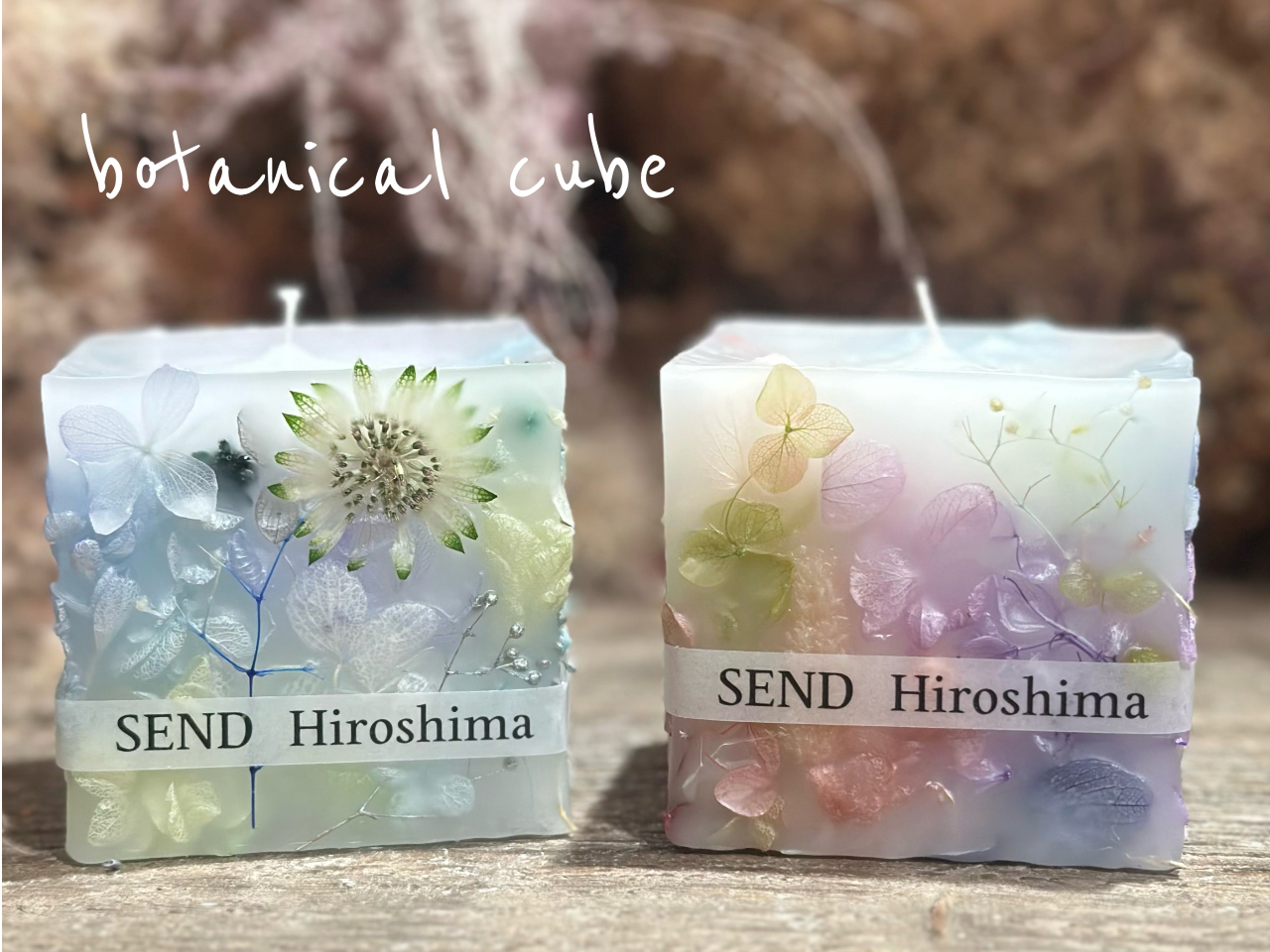 �y���q�l��i�z�����ɐl�C�Ȏl�p���{�^�j�J���L�����h���B���Ԃ̌�����������̂ł����݂Ȃ���ƂĂ��f�G�ɍ���Ă���܂��I