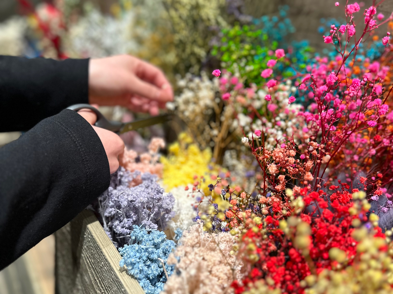 Ԃ̎ނ100ވȏBGߌ̂Ԃ܂B@X̒łԓEݑ̌Ă݂܂񂩁H