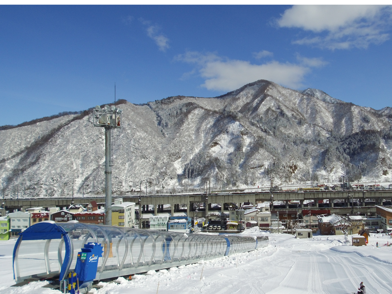 �V�o��I100���X�m�[�G�X�J���[�^�I