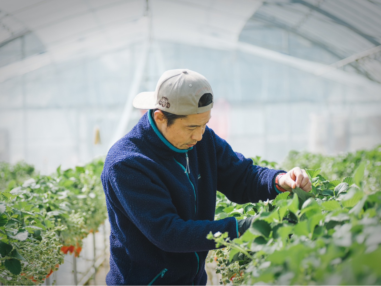 ݂Ȃy`IIƊĂ炦悤ɐ^S߂Ă肵Ă܂I