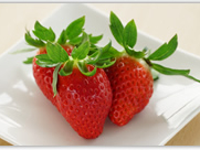 �����Ђ߁�