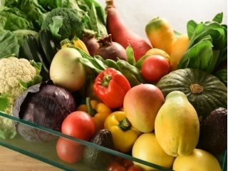 栄養バランスに優れたスーパーフードをふんだんに取り入れたサラダバー