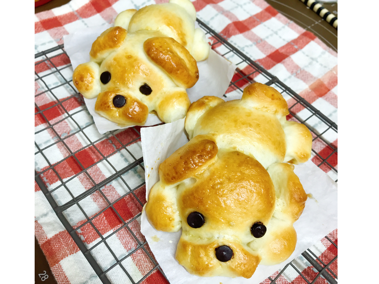 `Rp̐^́AIђ܂BQĂ郏